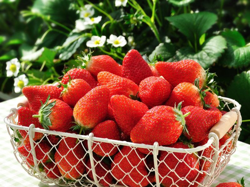 dây tây tỉnh Miyagi